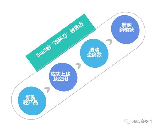 中國SaaS公司的互聯網特性與互聯網銷售