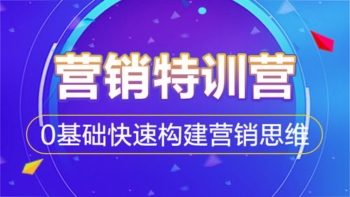 互聯(lián)網(wǎng)營(yíng)銷(xiāo)特訓(xùn)營(yíng) 0基礎(chǔ)快速構(gòu)建營(yíng)銷(xiāo)思維，掌握銷(xiāo)售實(shí)戰(zhàn)