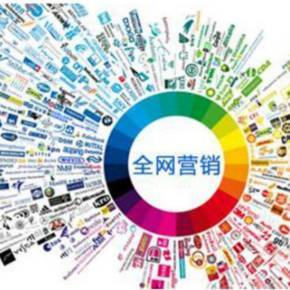 全網(wǎng)營銷寶典 驅(qū)動(dòng)互聯(lián)網(wǎng)銷售的整合策略與實(shí)戰(zhàn)指南