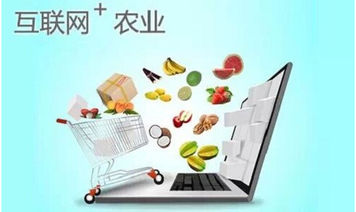 農(nóng)產(chǎn)品上行 “城市餐桌”到“電商貨架”的通途之路｜常見難題+破解指南
