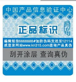 信息系統(tǒng)集成服務(wù) 構(gòu)建智慧未來的橋梁