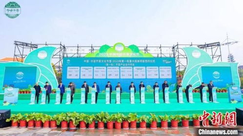 帶富一方漂洋過海 一蔸芥菜的 奇幻漂流