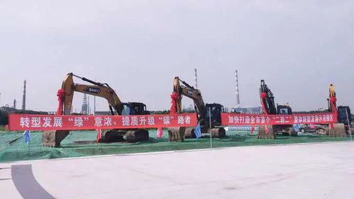 吸引企業(yè)紛紛飛回上海，金山這家園區(qū)有何奧秘——財(cái)務(wù)咨詢助力企業(yè)騰飛